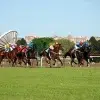 Pronósticos carreras Hipódromo San Isidro hoy 18/09/2026