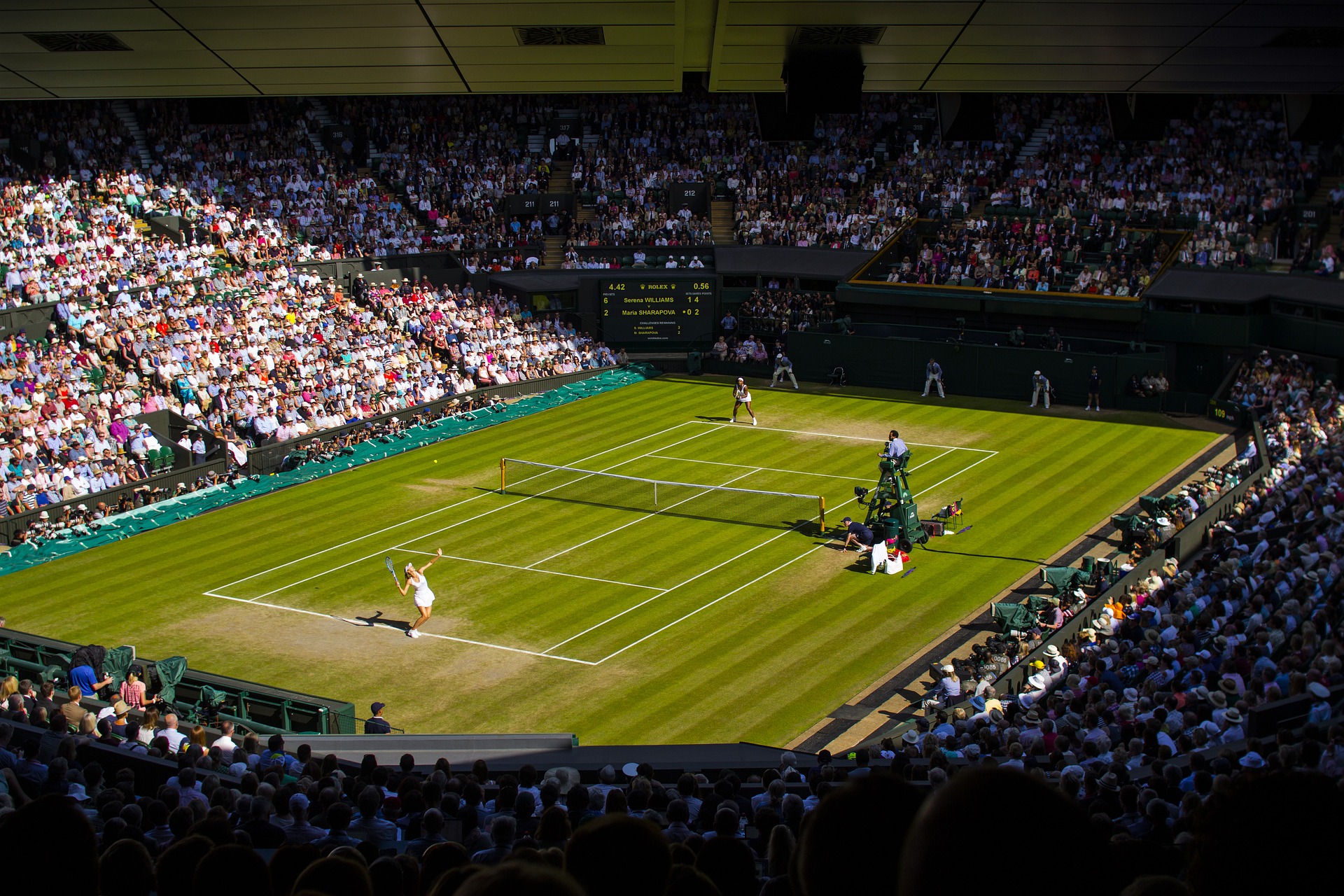 Apuestas Ganador Wimbledon 2024