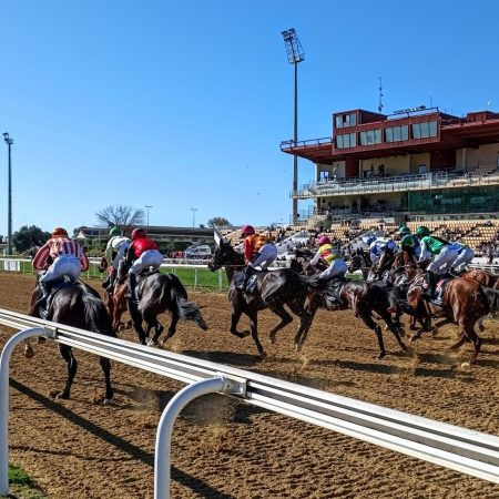 Pronósticos carreras Hipódromo Andalucía 07/12/2025