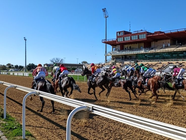 Pronósticos carreras Hipódromo Andalucía 07/12/2025