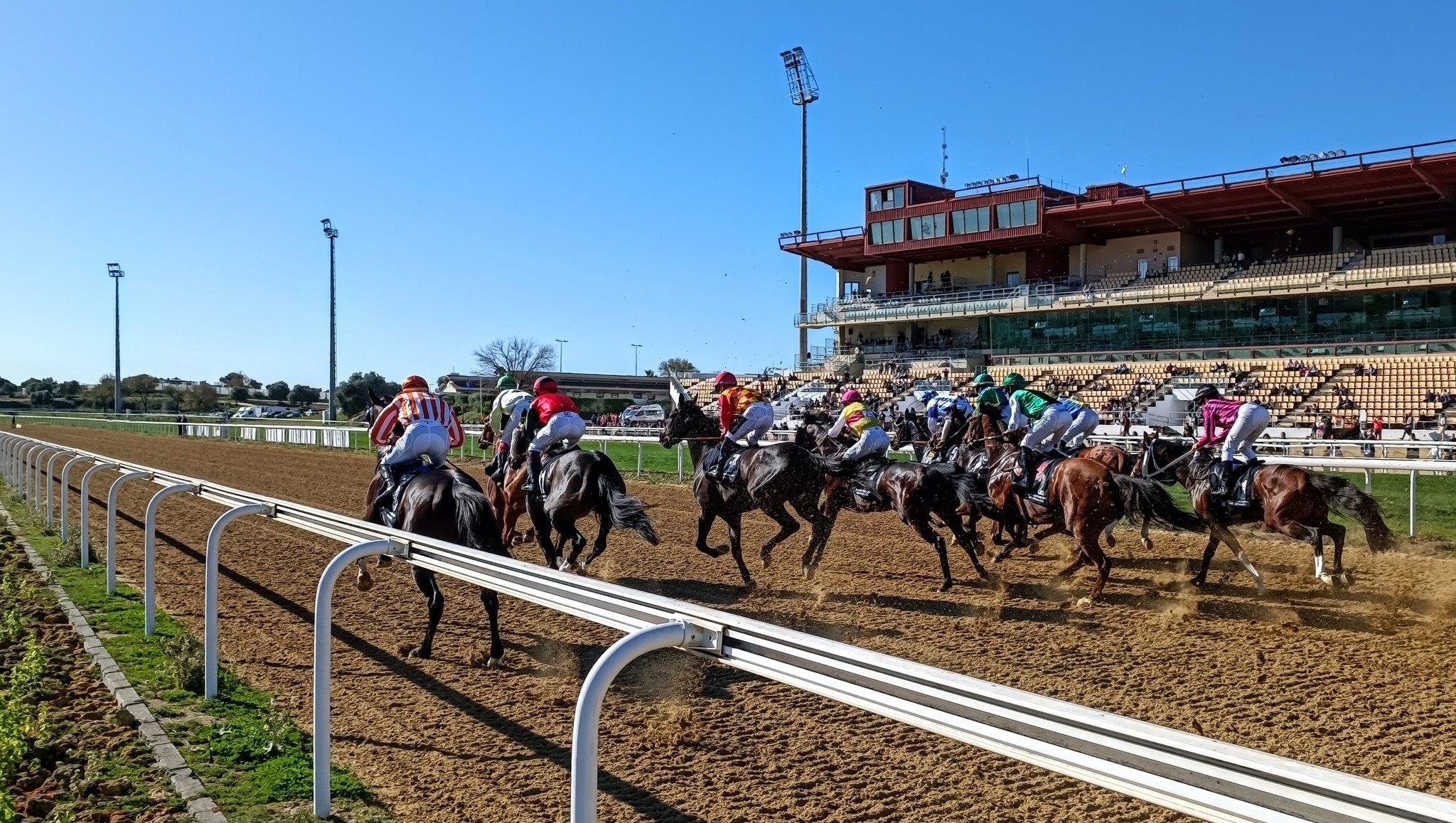 Pronósticos carreras Hipódromo Andalucía 07/12/2025
