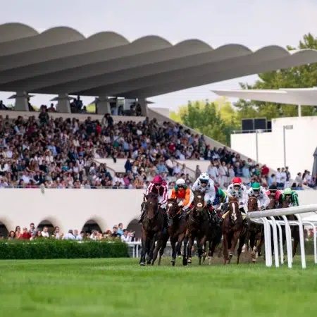 Apuestas y pronósticos carreras Hipódromo de La Zarzuela 23/12/2025