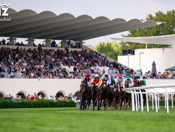 Pronósticos carreras Hipódromo de La Zarzuela 23/12/2025