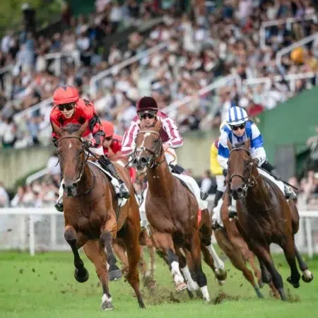 Pronósticos carreras Hipódromo San Sebastián hoy 15/08/2026