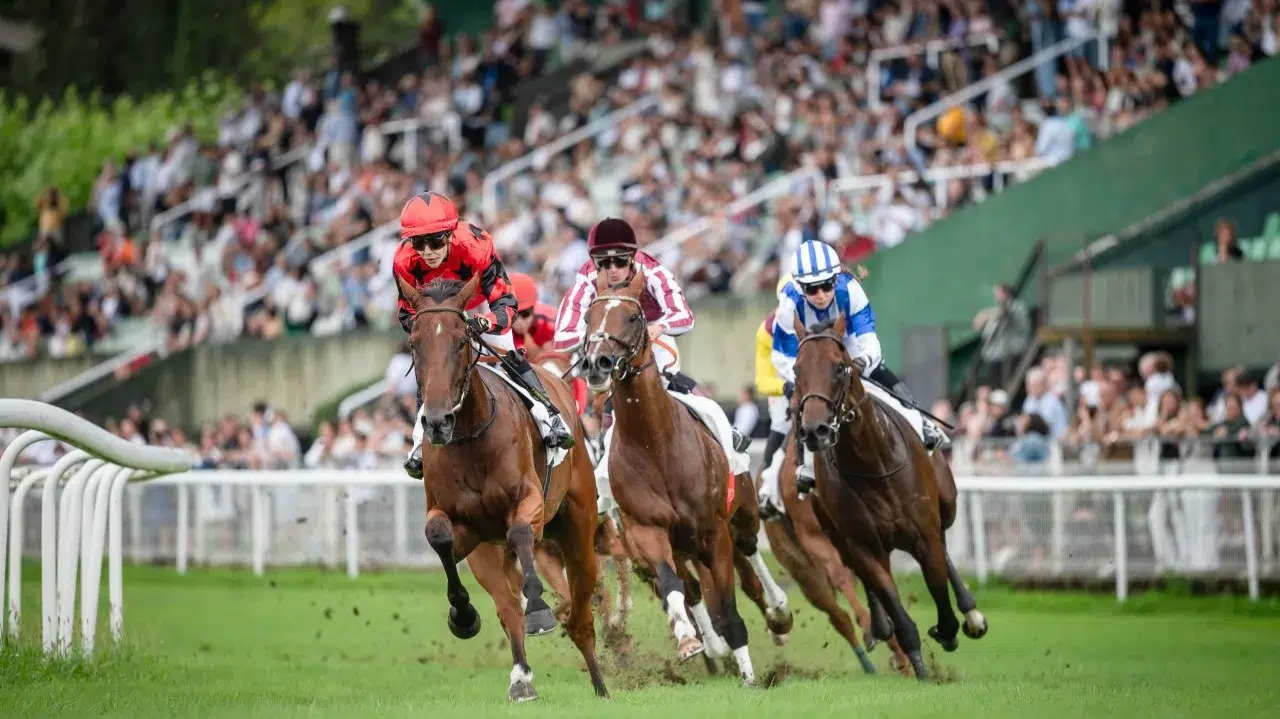 Pronósticos carreras Hipódromo San Sebastián hoy 09/08/2026