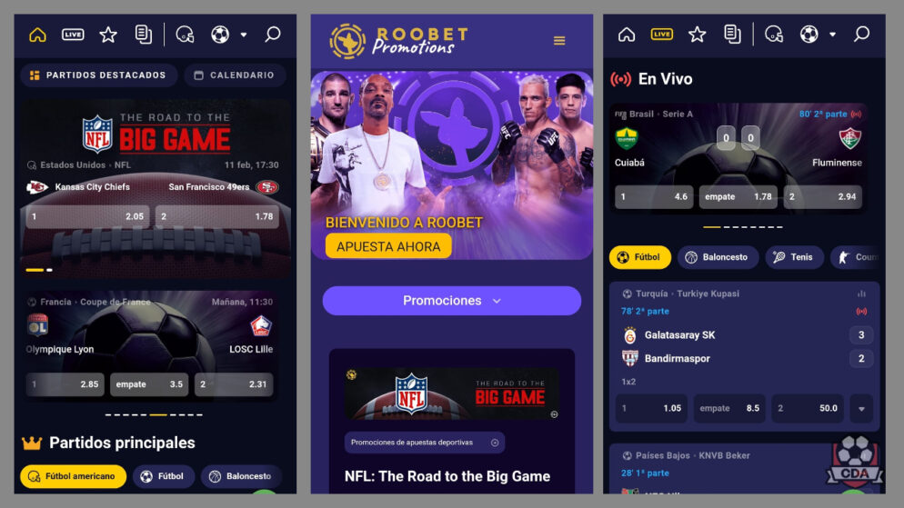 How to Play Roobet: A Guide for Australian Players