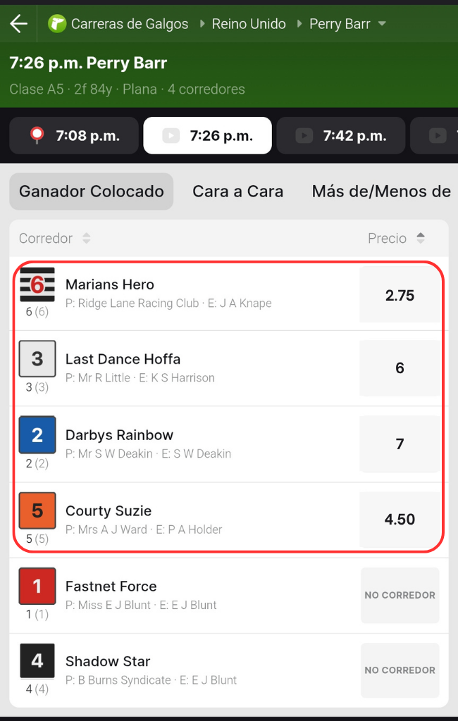 selecciona opciones en tu casa de apuestas